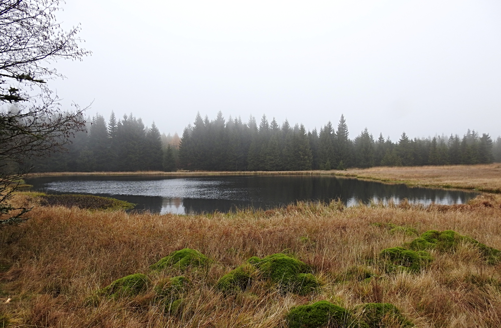 Pohraniční rybník se nachází v nadmořské výšce 815 m. n. m., i zde jsme
našli vydří trus.

