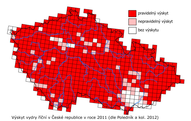 Výskyt vydry říční v roce 2011